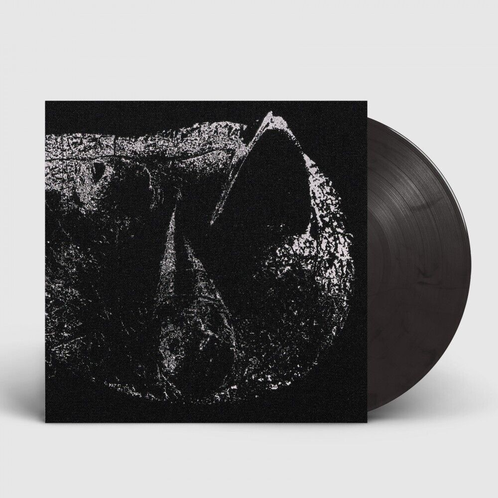 DEMON HEAD - Viscera [CLEAR ASH GREY LP]