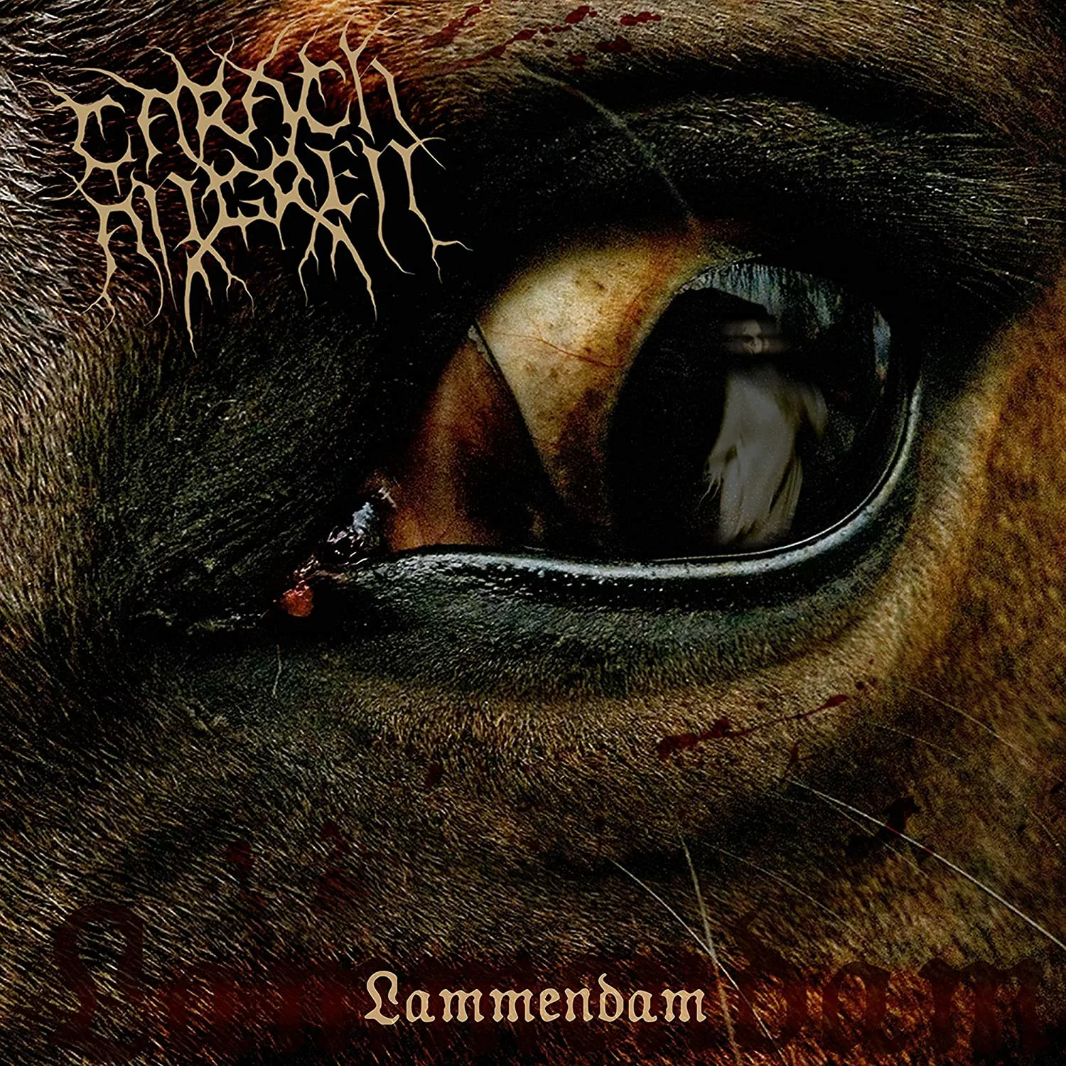 vinyl_carach_angren_-_lammendam_[black_dlp]-coverg_em00118584