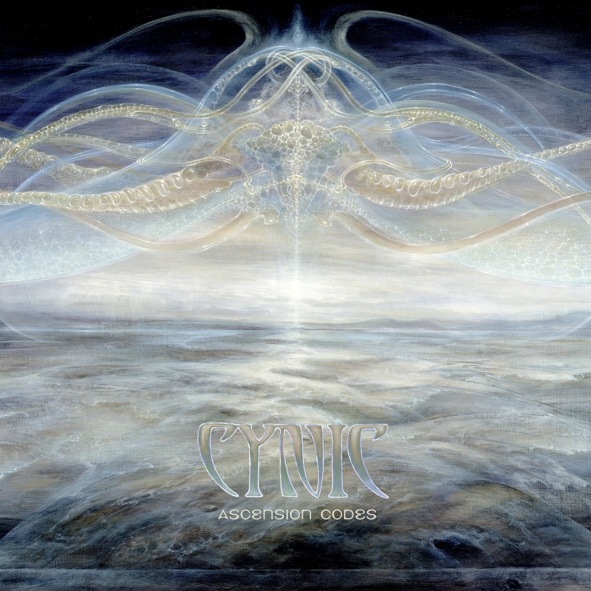 vinyl_cynic_-_ascension_codes_[clear_dlp]-coverg_em00147994